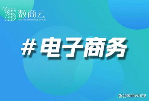 電子商城網站開發公司 數商云 打造卓越電商解決方案的領航者