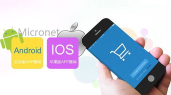 金博科技 東莞app定制開發能為企業帶來什么