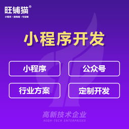 江門淘客系統(tǒng)定制開發(fā) 淘寶客網(wǎng)站定制 優(yōu)惠券商城制作建設 江門析客