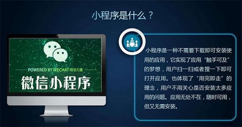 小程序定制 寵物店小程序商城開發