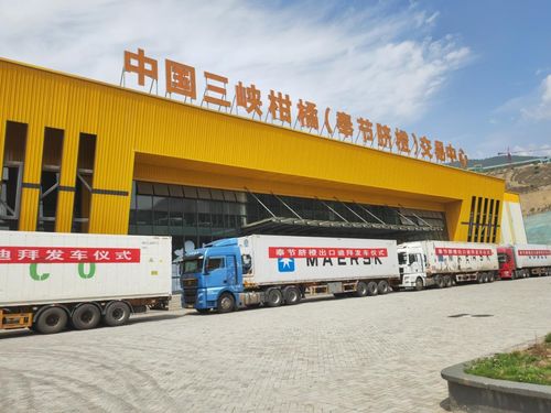 金 橙 飄香拓 眼 界 重慶奉節品牌添 翼 ,促產業煥發新機鳳凰網重慶